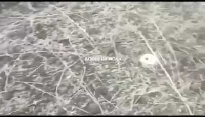 Luhansk Oblast, a Russian 50P6E TEL from an S-350 SAM system accidentally drove into a Russian minefield, hitting a mine. The vehicle was reportedly severely damaged, with Russian recovery crews unable to retrieve it due to the minefield.