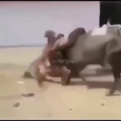 cursed_story