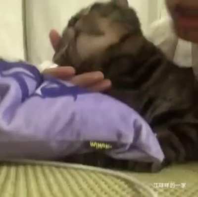 aaaaa
