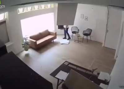 Cats destroys ceilings and his hooman dies inside behind one