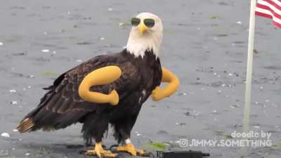 Putin's expectations vs. Freedom combined with the World's Gun Dealer of Choice&trade;