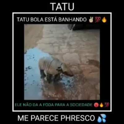 Hmmm tatuzinho na grelha hmmm