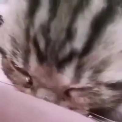 When Farther Away starts playing