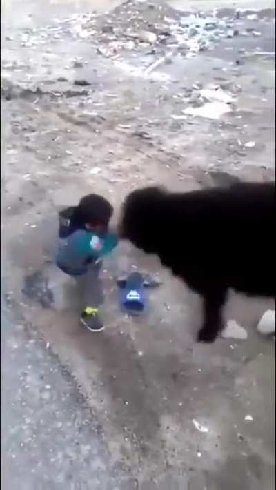 Everybody loves Kung Fu Fighting