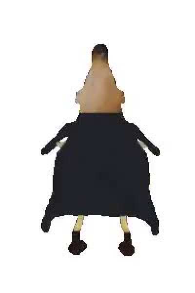 PRAISE THE OBANANIUM!