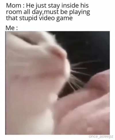 twicememes - Video #8241