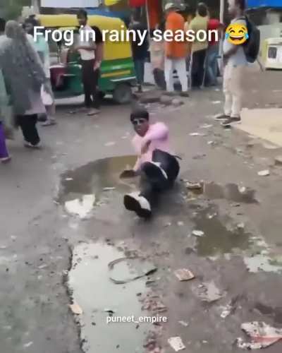 Frogs in rainy season