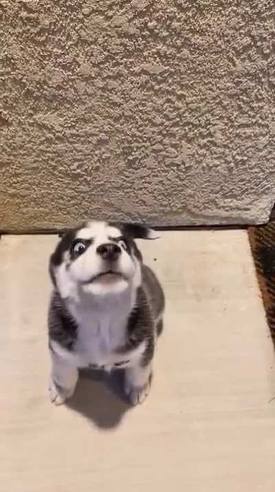 A little hysterical