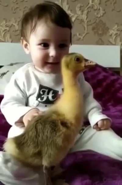 Little duckling and his friend