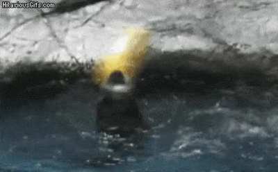 "But then something happened that the ring did not intend"
