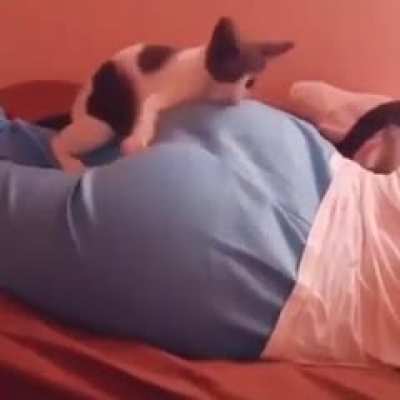 Esse v&iacute;deo eu peguei a cerca de 3 meses no reddit,n&atilde;o sei em qual comunidade foi mas se foi nessa foi mal a&iacute;.
