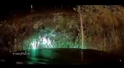 Man taking a piss gets hit by his own car.