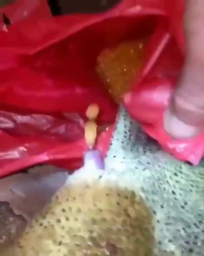 me activating gypsy sucrose blanchard’s analchemy passive to get more materials in one gawk🤑<wbr>🍃🧪