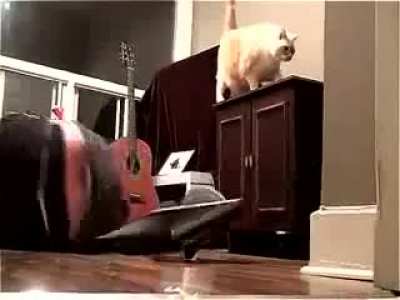 It didn&rsquo;t even care