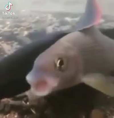 AAAAAAAAAAAAAAAAAAAAAAAAA