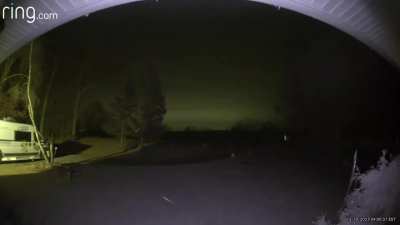 There is a deer, a spider web&hellip;and floating spec of something in the middle. It seems to fly around and then split into 3 before disappearing.