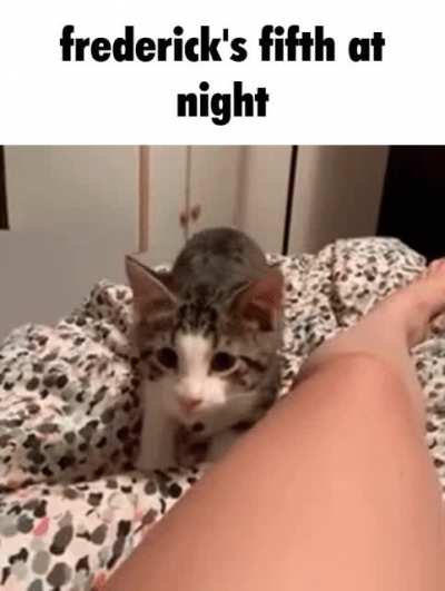 Kitty ☺️