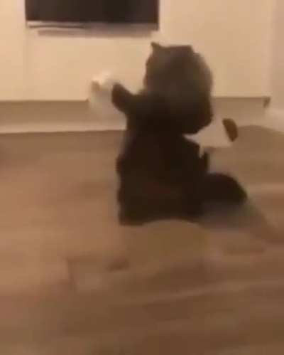 nooo
