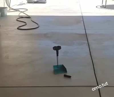 Dog cleans up poop after self