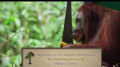 Woodcutting in OSRS [Credit: ChickyNuggy]