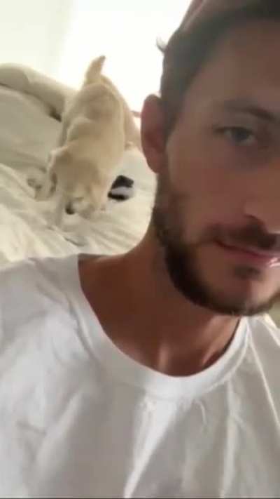 Doggo dig