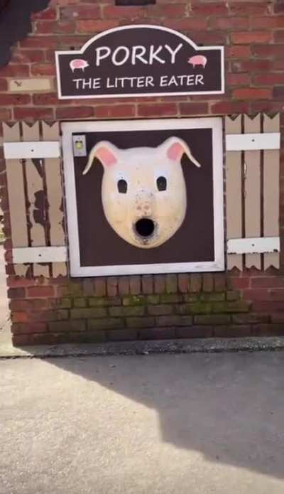 Porky is hungry