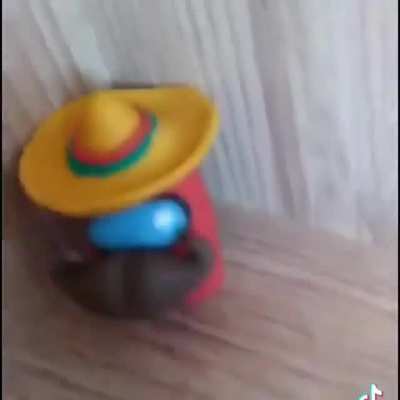 SUS 😲🇲🇽🌮