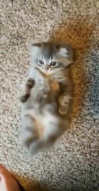 help me get up Karen