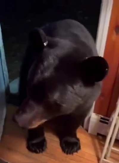 Простите, не туда зашёл...