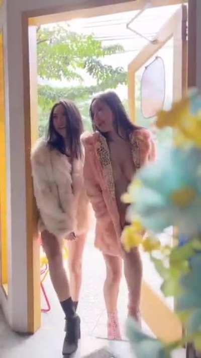 fur coat