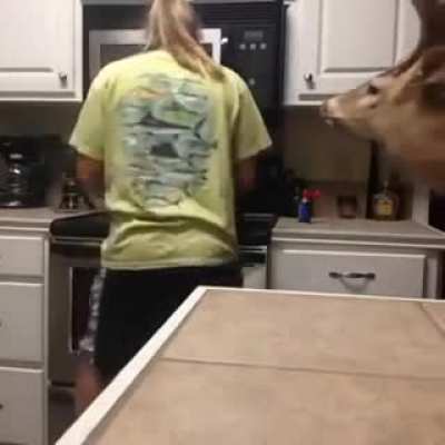 wh&auml;&auml;&auml;&auml;t