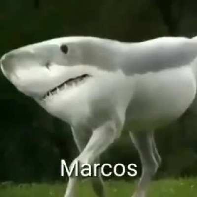 Am&eacute;m 😇🙏
