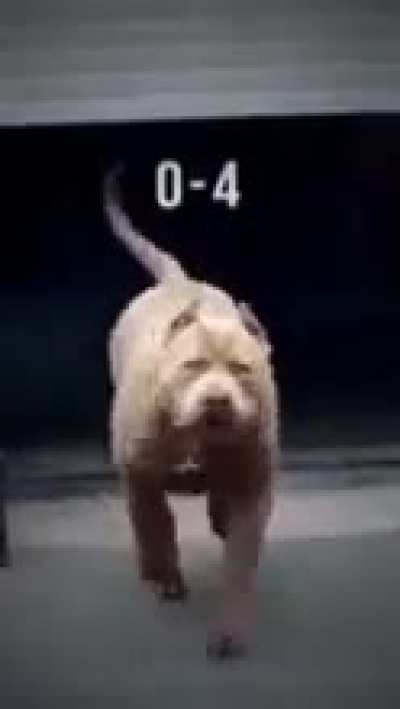 I'm 15 and this is yeet