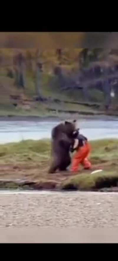 feddy fabear