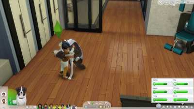 Thanks, I hate puppy hugs.