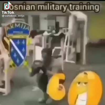 Bosnia stronk