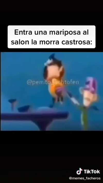 M&iacute;ralo riczer