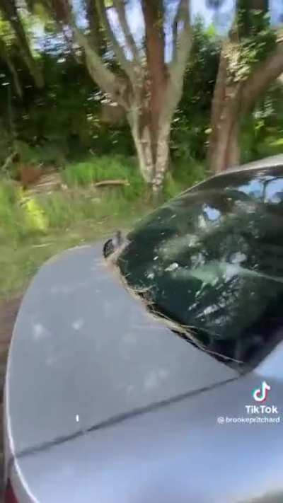 Don&rsquo;t drink drive