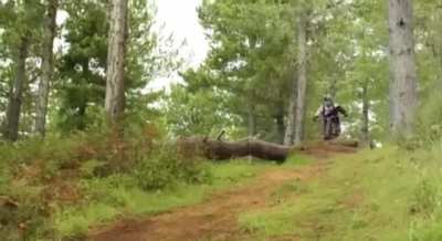 ThisLooksFun