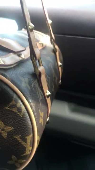what louis vuitton bag is this, &amp;amp; does it look real?
