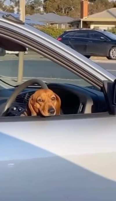 When you see one but there's a surprise