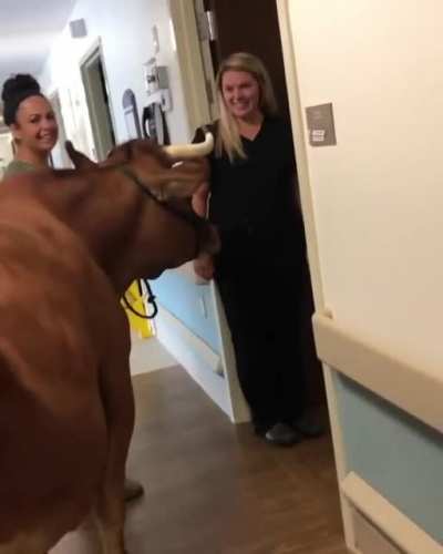 You have a visitor