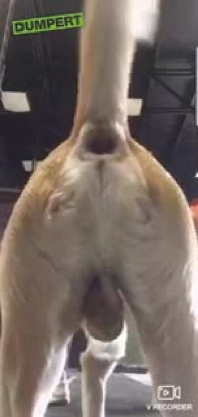 IS THIS WHAT YOU WANT TO SEE?