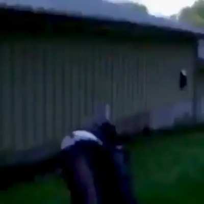 HMFT after garbage dive.