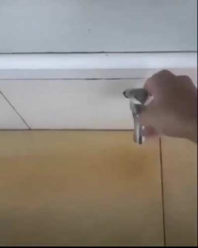 xddd