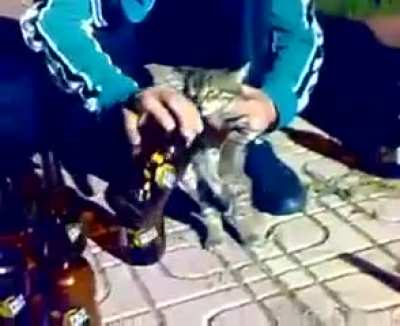&Ccedil;ok tatlılar