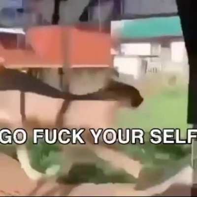 Credit to floppaworld on Instagram
