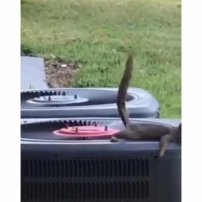 Voc&ecirc; foi cagado