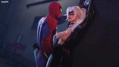 Black Cat x Spider-Man (Nes)