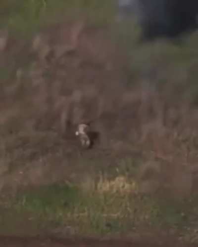 Russian soldier shoots a hostile drone with his weapon and runs away